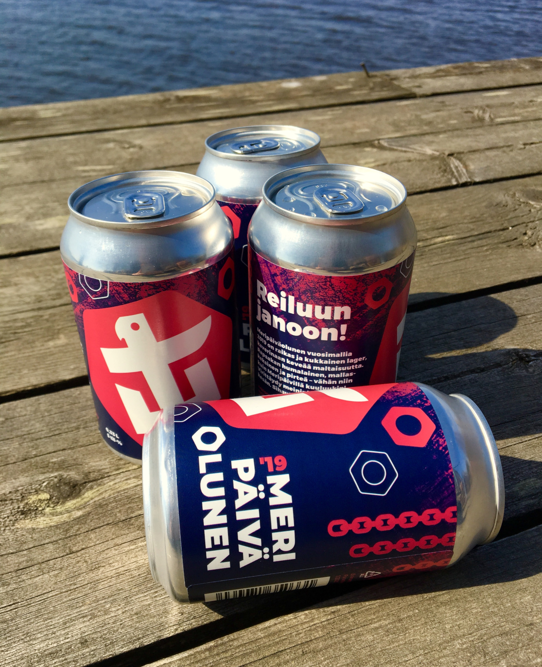 Meripäiväolunen 2019